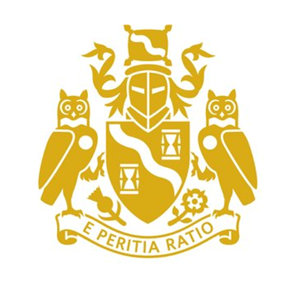 The Institute and Faculty of Actuaries (IFoA)