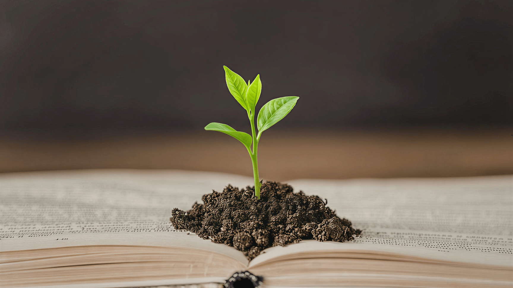 Developing self and supporting others