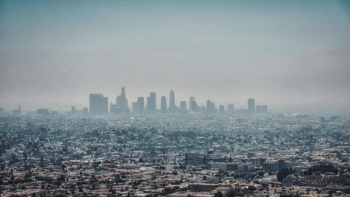 Pollution, environmental and human health