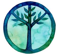 Stop Ecocide International