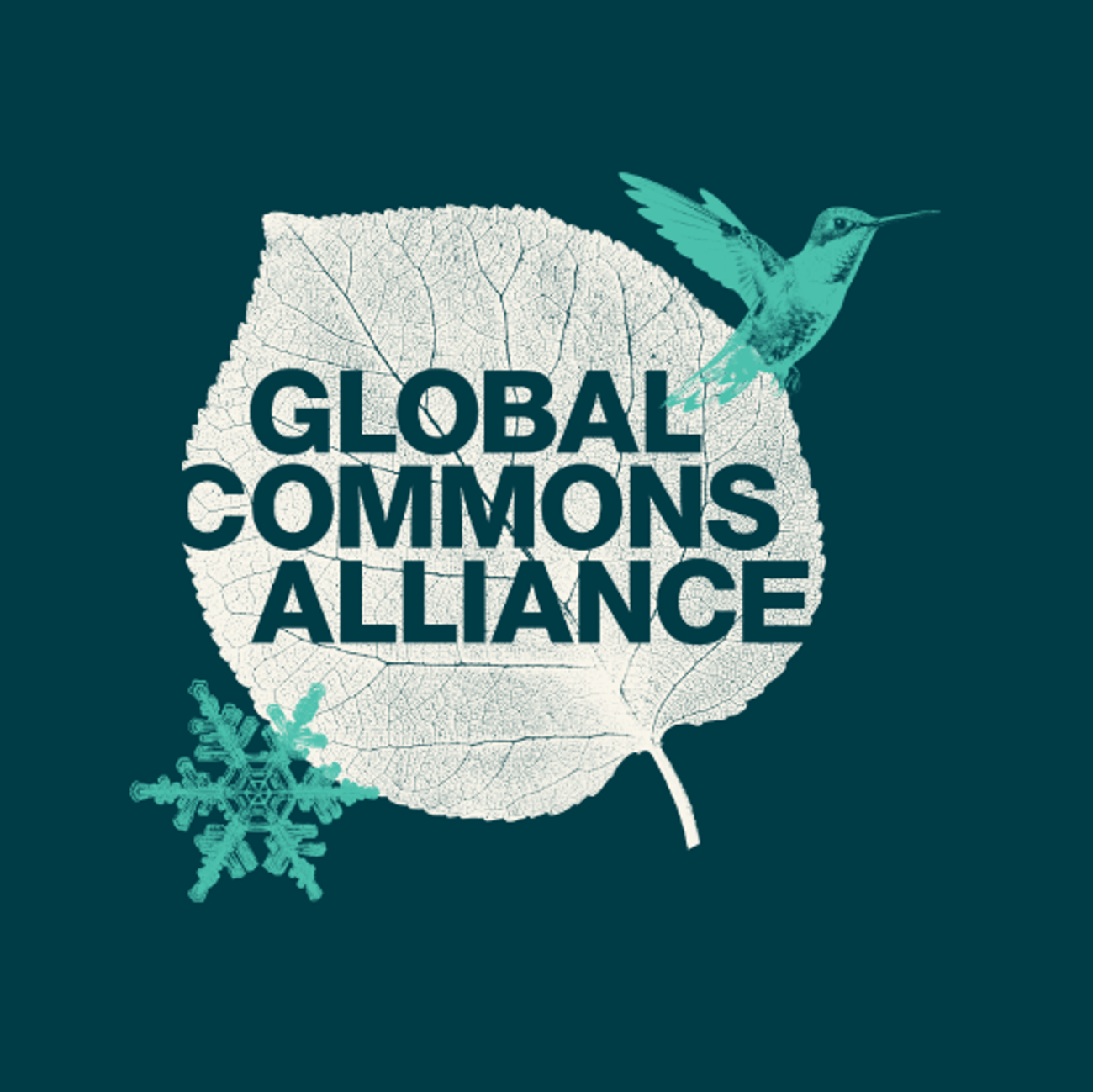 Global Commons Alliance