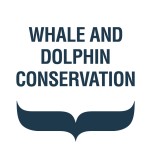 Whale and Dolphin Conservation
