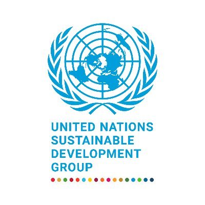 UN Sustainable Development Group