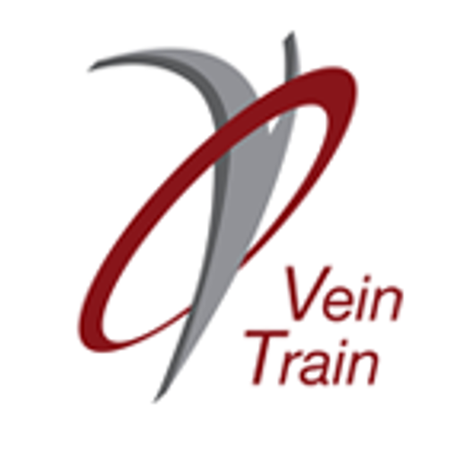 Veintrain Ltd