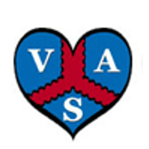 Vascular Anaesthesia Society of GB&I (VASGBI)