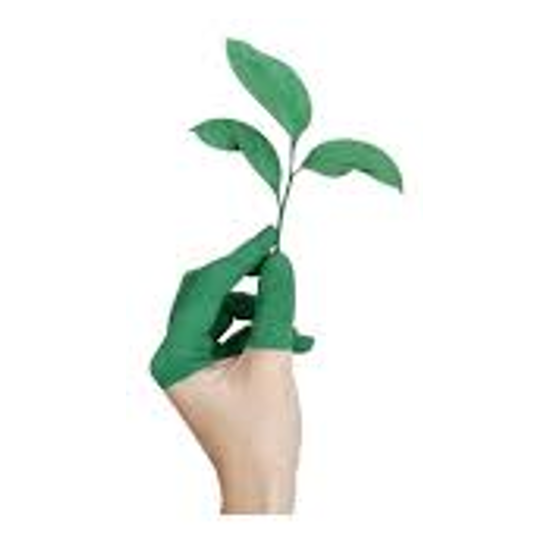 The Green Physio