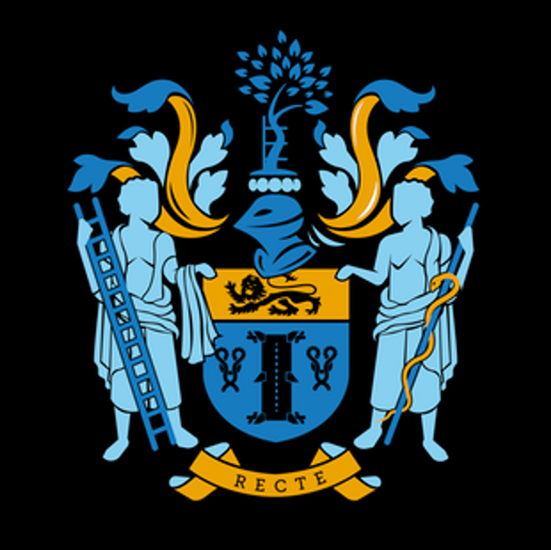 British Orthopaedic Association