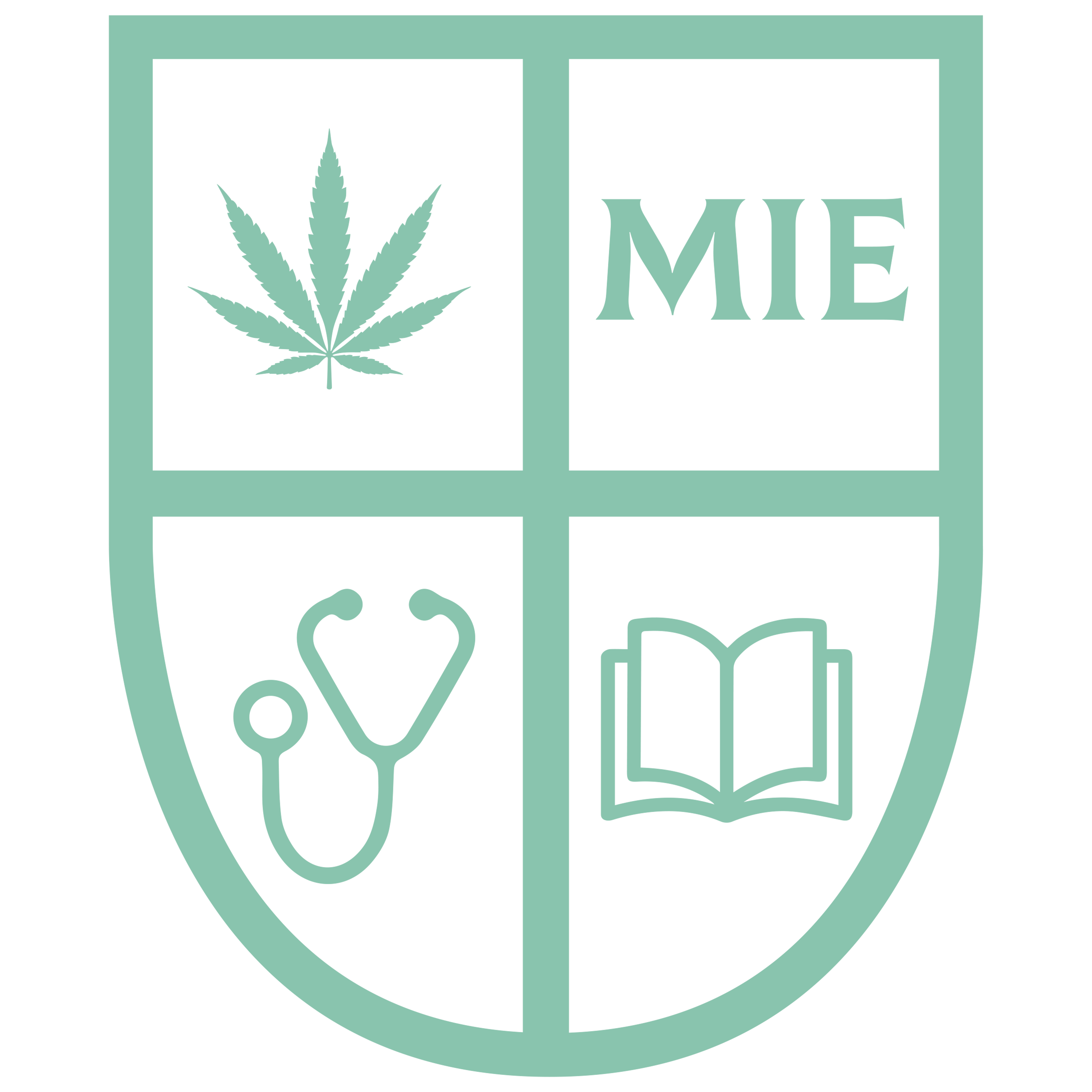 Medisonal Institute of Education
