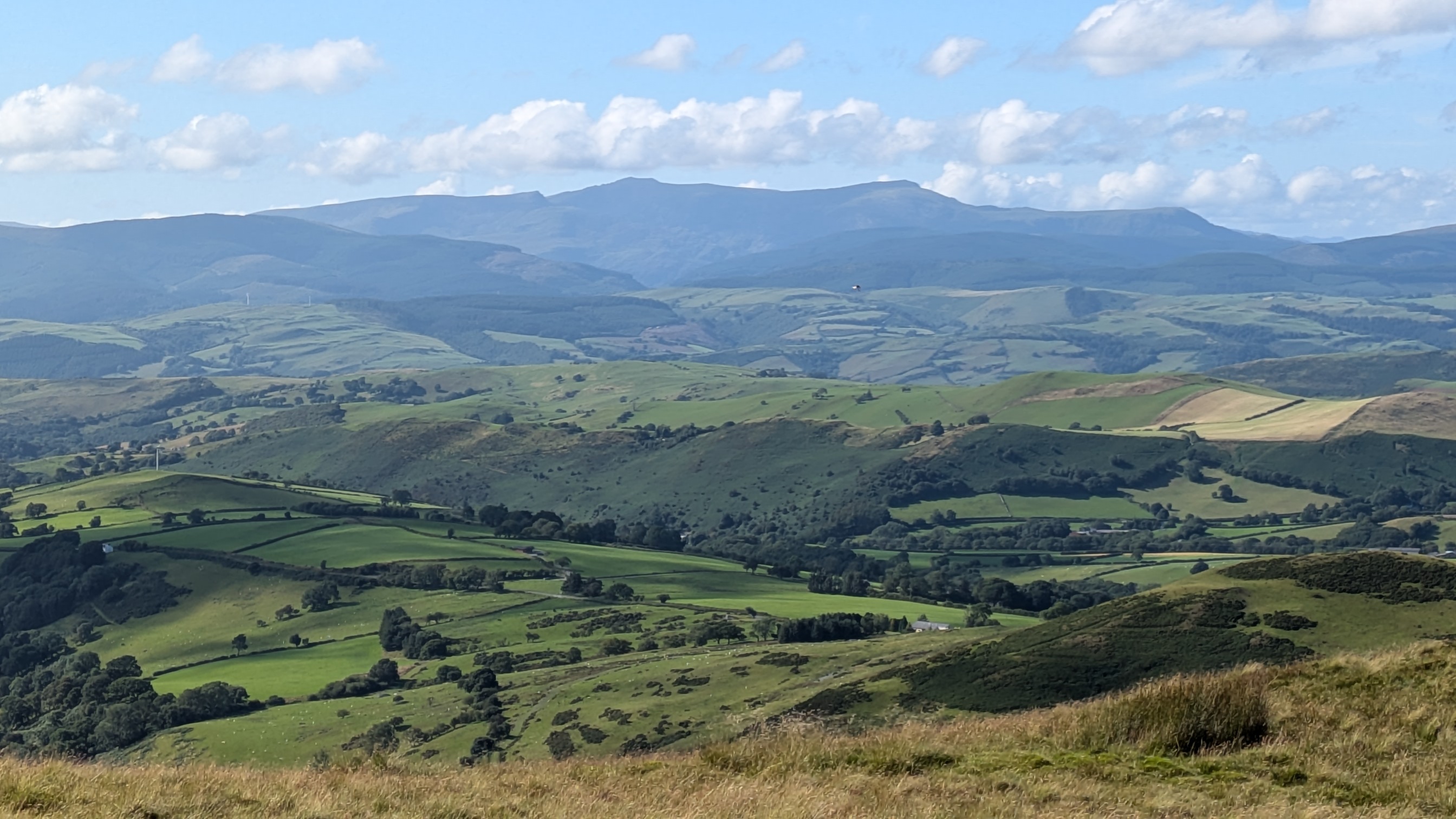 Nature and the biosphere