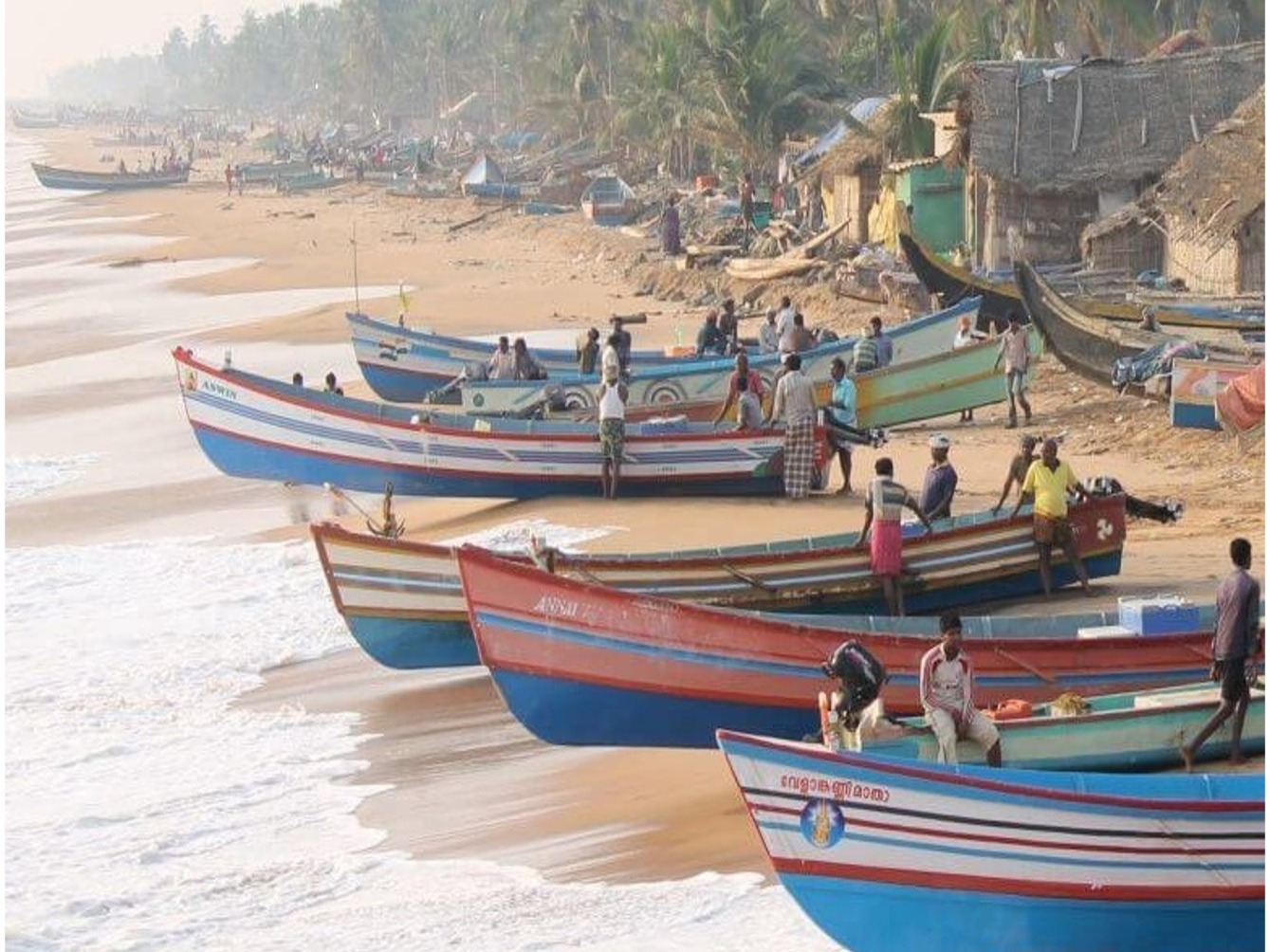 Food, livelihoods, physical and mental health