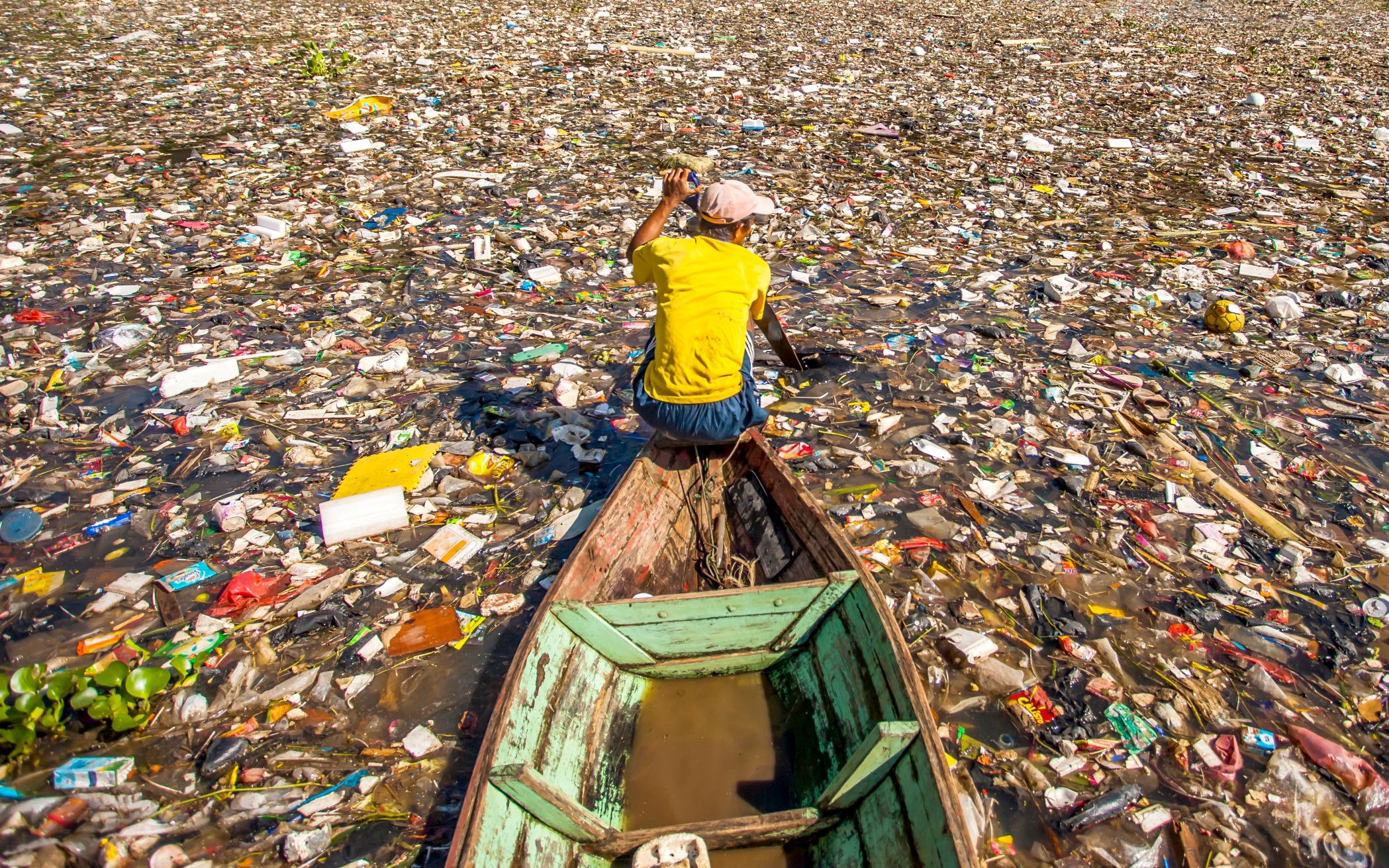 Pollution, environmental and human health