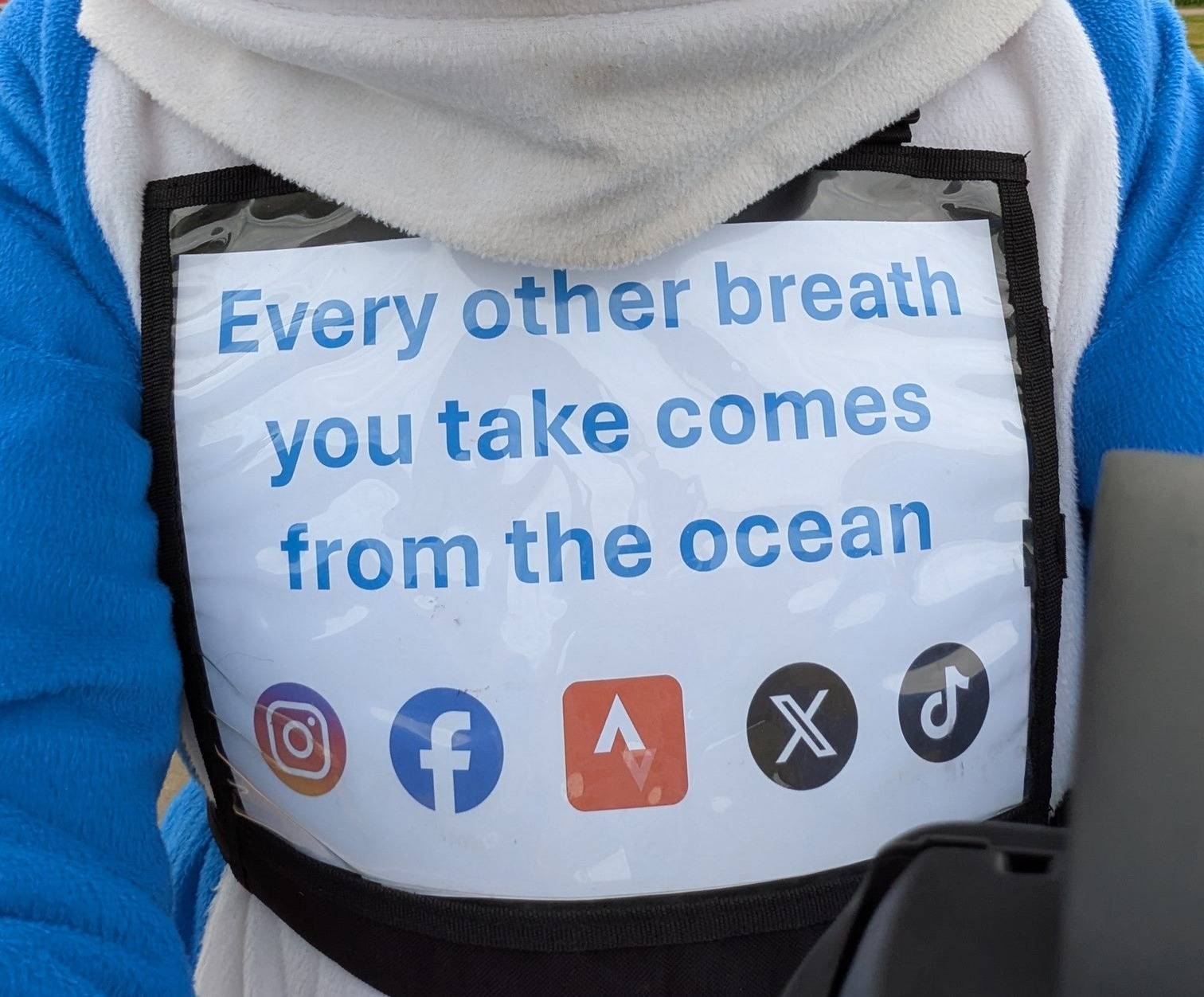 Running for the Ocean