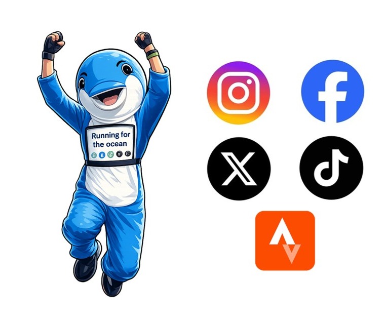 The dolphin on social media